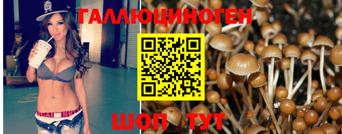 Галлюциногенные грибы Psilocybine cubensis  Псилоцибиновые грибы GOLDEN TEACHER  Сызрань  Вход с VPN 